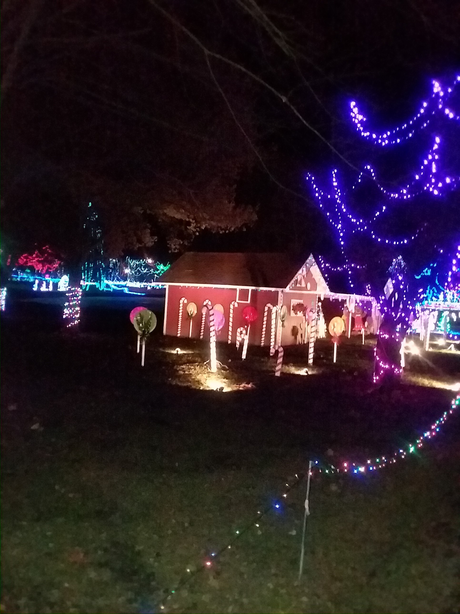 decorative lights in dark