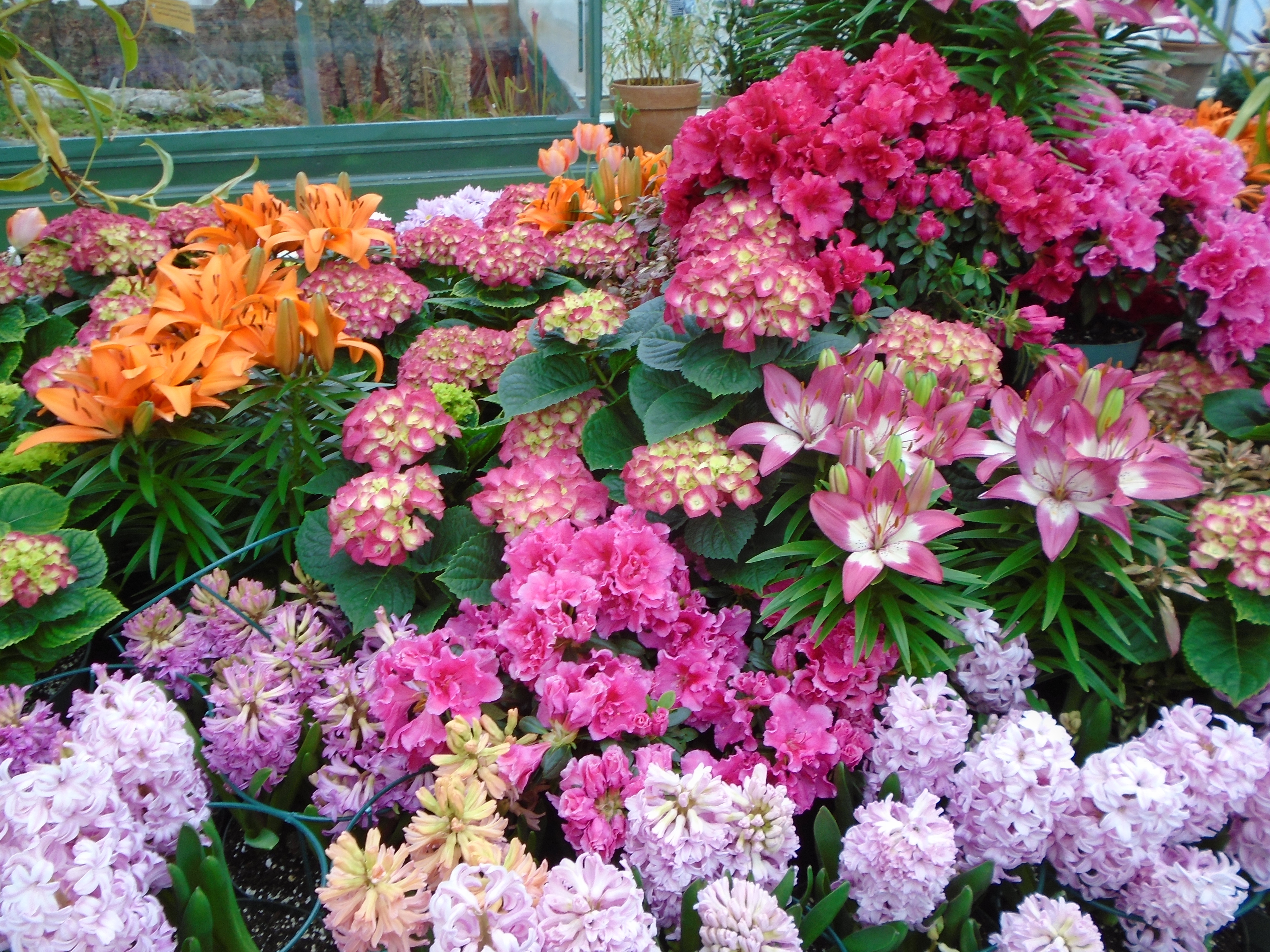 arrangement of many kinds of flowers