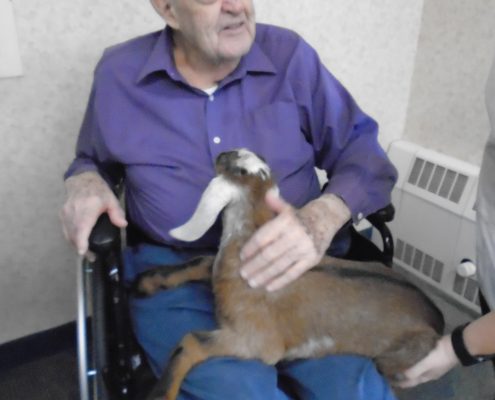 man petting goat kid on lap
